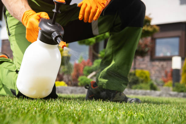 Best Mosquito Control Services  in Evanston, IL