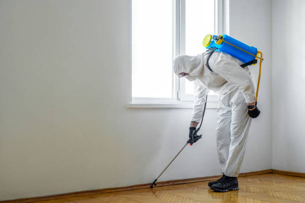 Best Commercial Pest Control Services  in Evanston, IL
