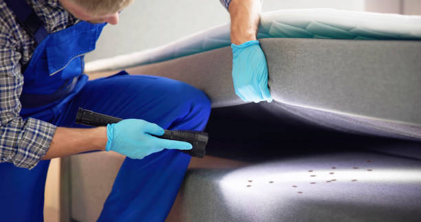 Best Ant Control Services  in Evanston, IL