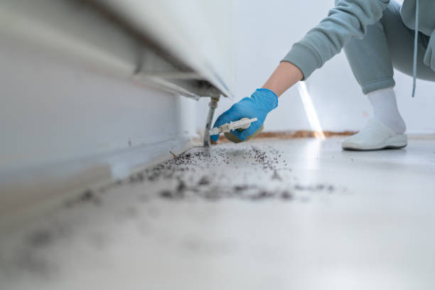 Best Pest Inspection Near Me  in Evanston, IL